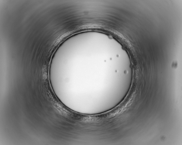 X0000099300929200805161345