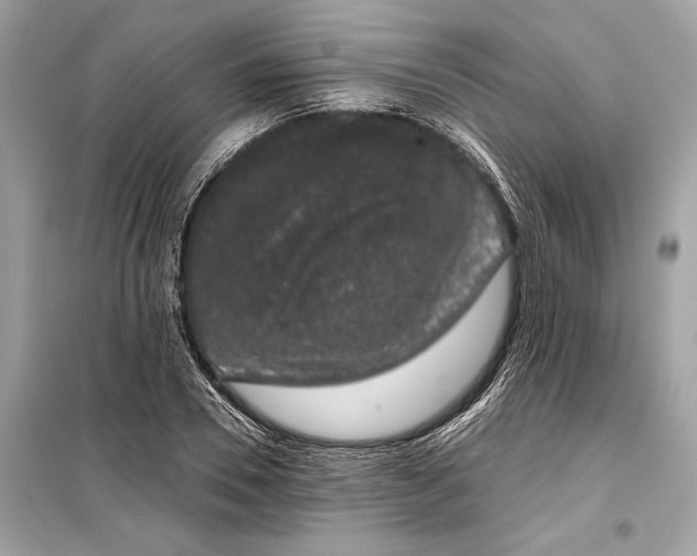 X0000099300930200805161345