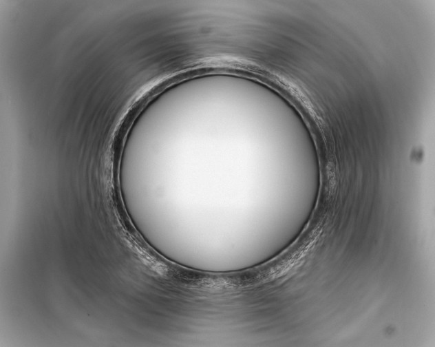 X0000099300931200805161345