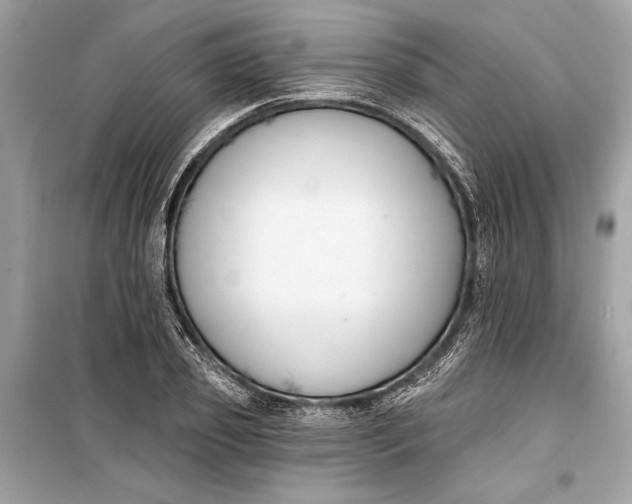 X0000099300933200805161345