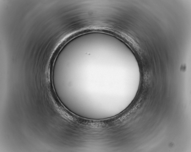 X0000099300934200805161345