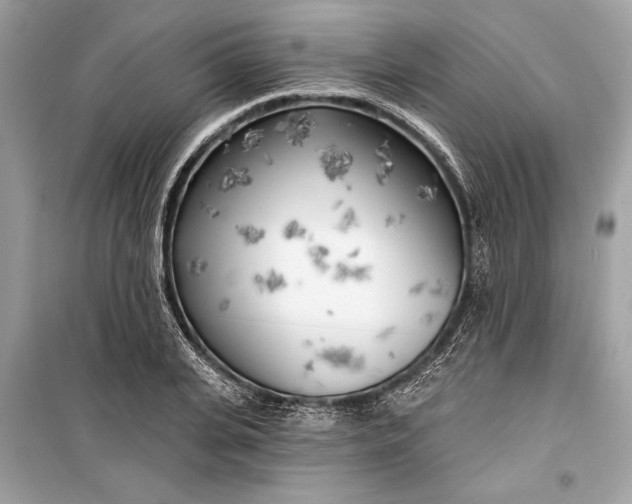 X0000099300935200805161345