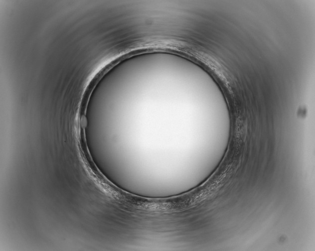 X0000099300936200805161345