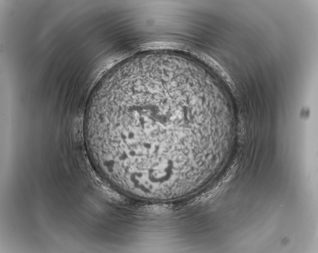 X0000099300937200805161345