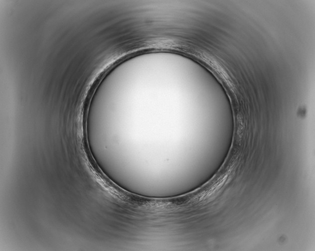 X0000099300939200805161345