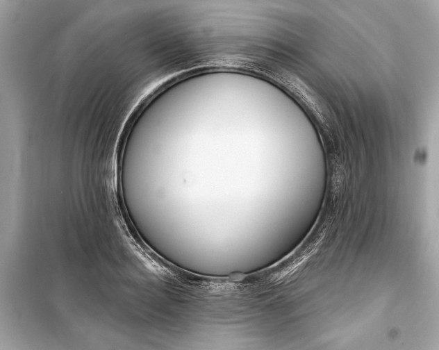 X0000099300940200805161345