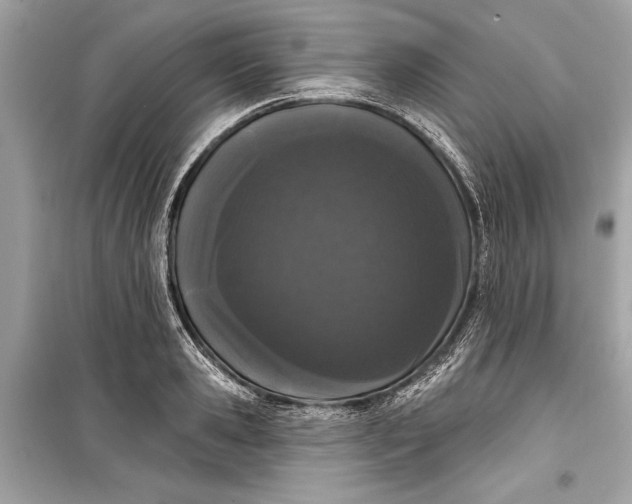 X0000099300941200805161345