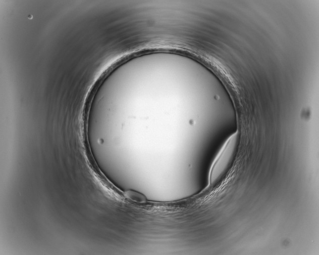 X0000099300942200805161345