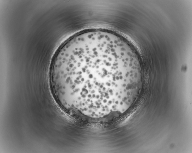 X0000099300943200805161345