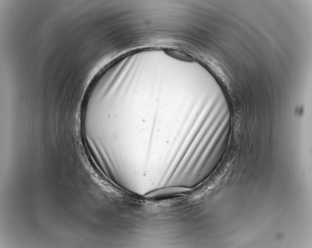 X0000099300944200805161345