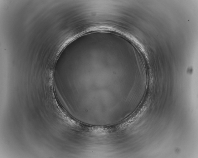 X0000099300945200805161345