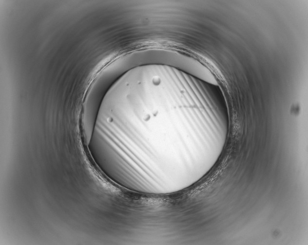 X0000099300946200805161345