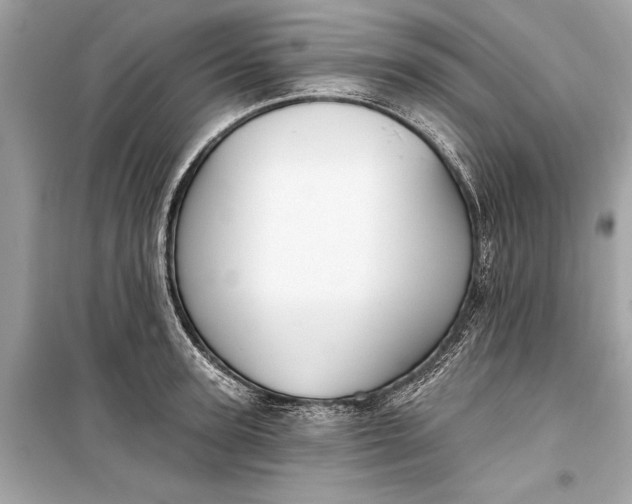 X0000099300947200805161345