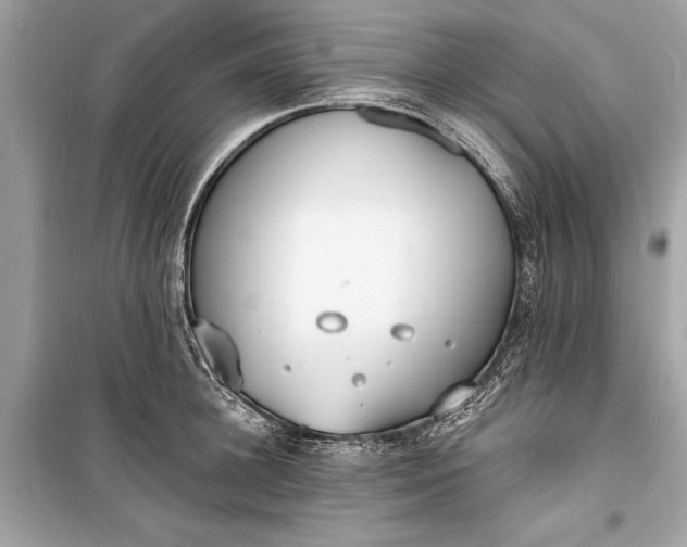 X0000099300948200805161345