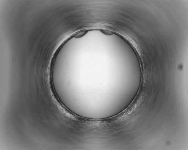 X0000099300949200805161345