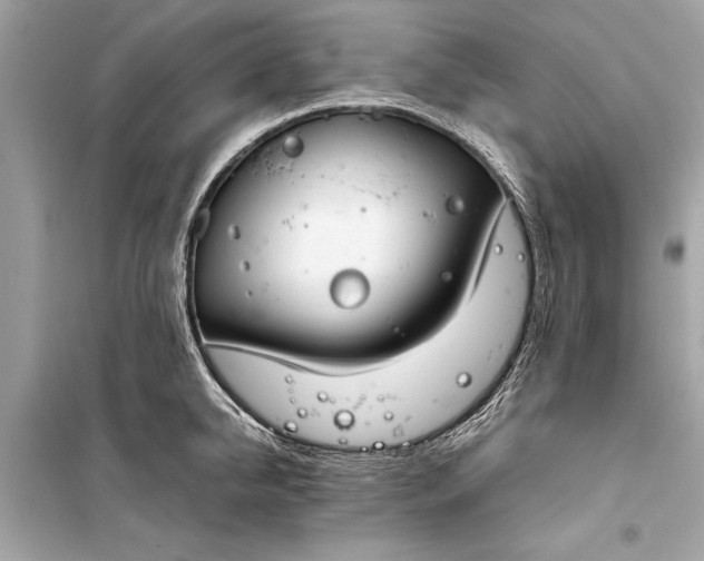 X0000099300950200805161345