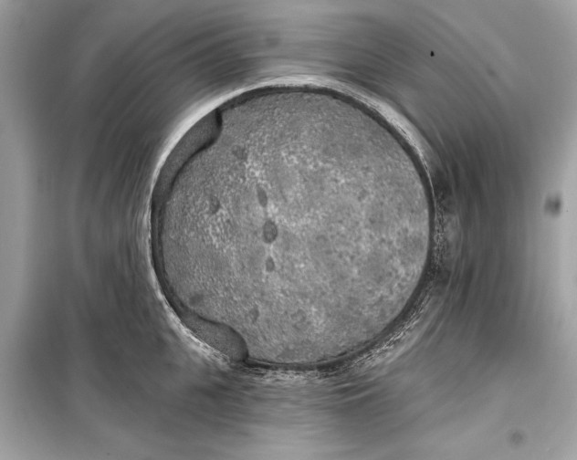 X0000099300951200805161345