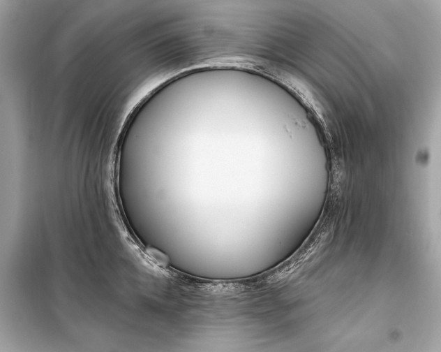 X0000099300952200805161345