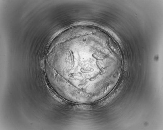 X0000099300953200805161345