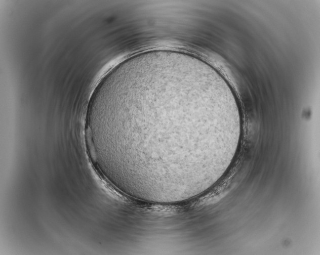 X0000099300954200805161345