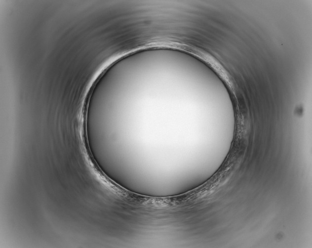 X0000099300955200805161345