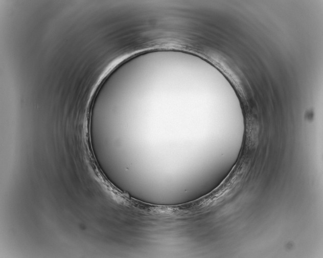 X0000099300956200805161345