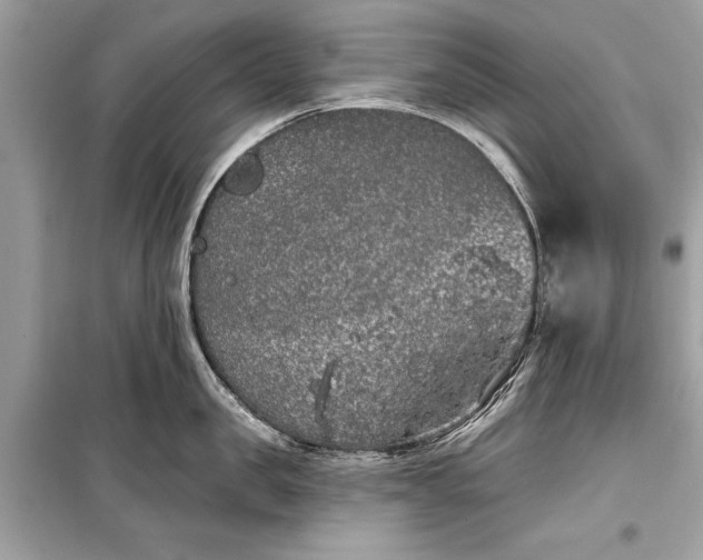 X0000099300957200805161345