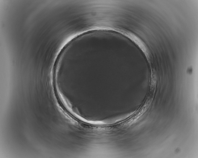 X0000099300958200805161345