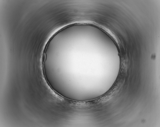 X0000099300959200805161345