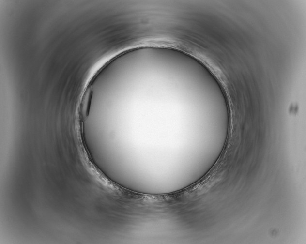 X0000099300960200805161345