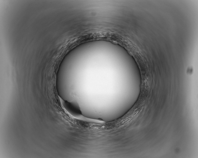 X0000099300961200805161345