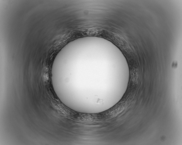 X0000099300962200805161345