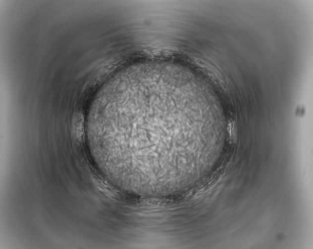 X0000099300963200805161344