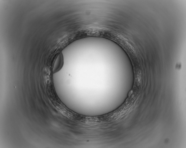 X0000099300964200805161344