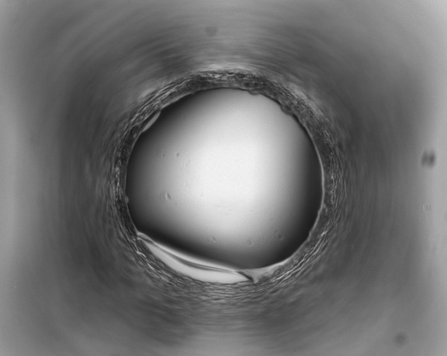 X0000099300965200805161344