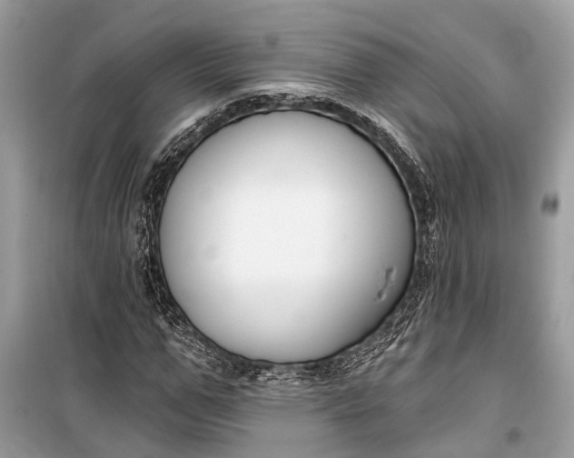 X0000099300967200805161344