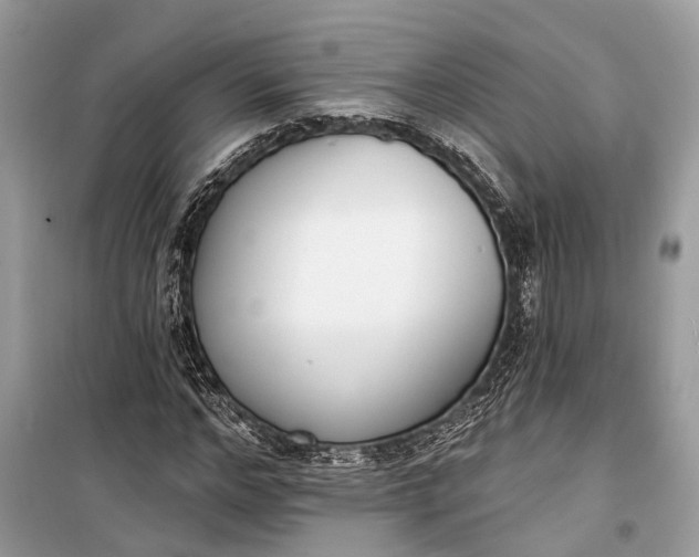 X0000099300968200805161344