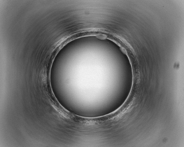 X0000099300969200805161344