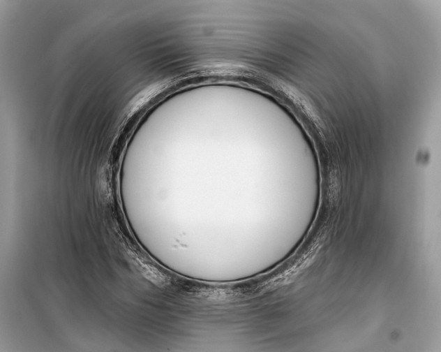 X0000099300970200805161344