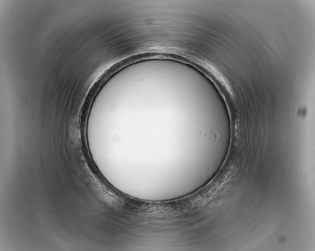 X0000099300972200805161344