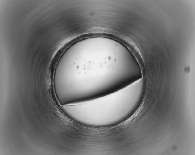 X0000099300973200805161344