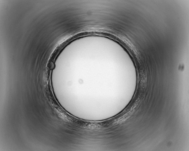 X0000099300974200805161344