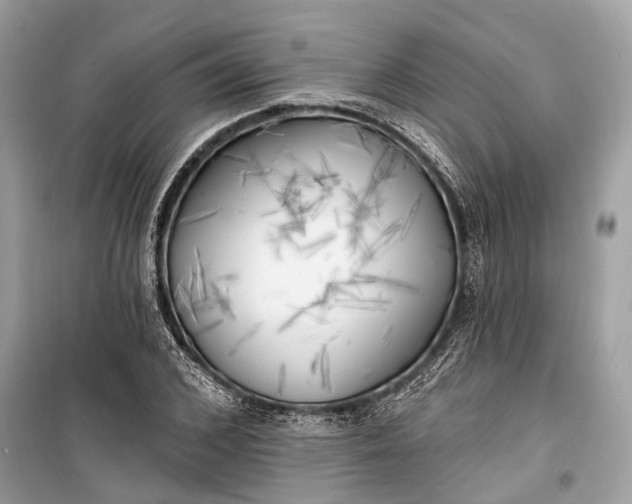 X0000099300976200805161344