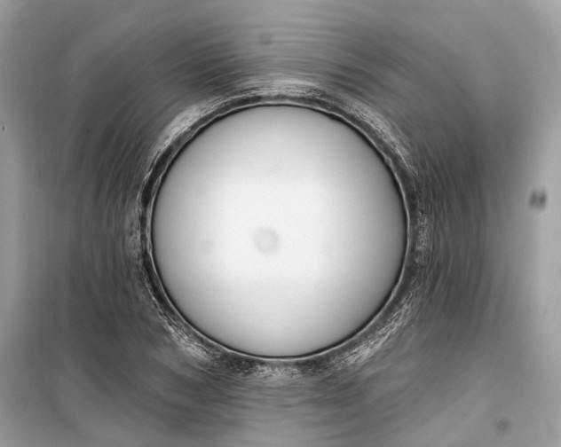 X0000099300978200805161344