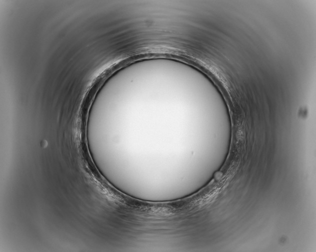 X0000099300979200805161344