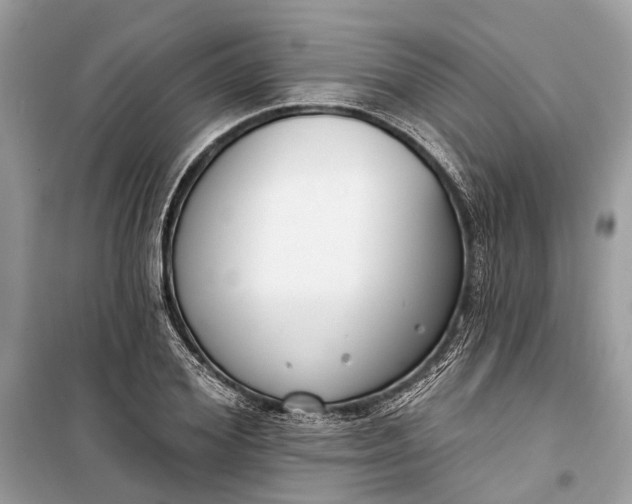 X0000099300980200805161344