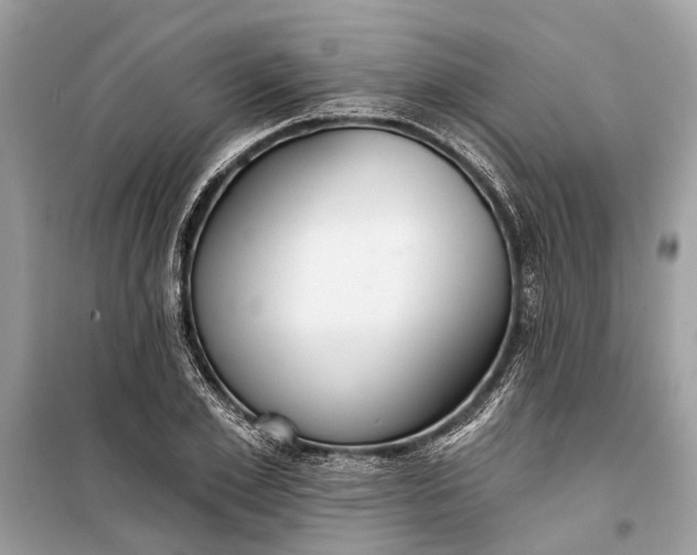 X0000099300981200805161344