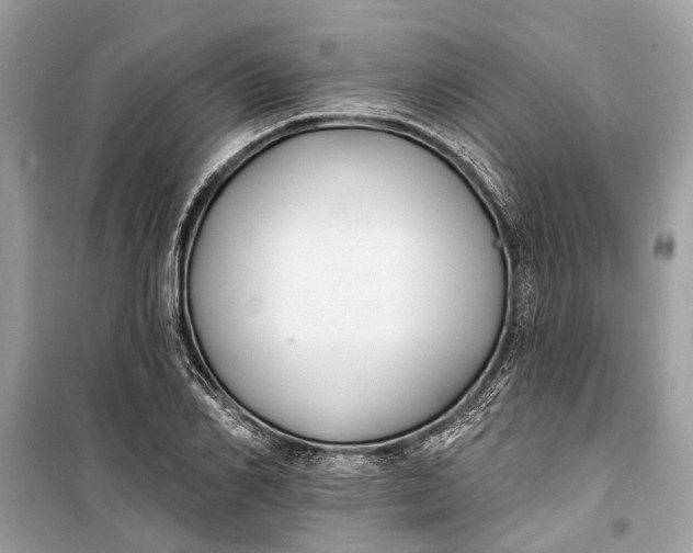 X0000099300982200805161344