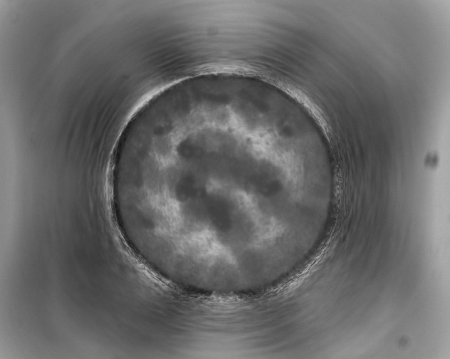 X0000099300983200805161344