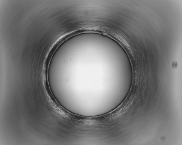 X0000099300984200805161344